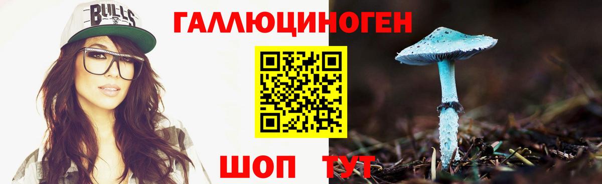купить наркотик  Вход с VPN  Псилоцибиновые грибы Magic Shrooms  Тельмана  Галлюциногенные грибы ЛСД 