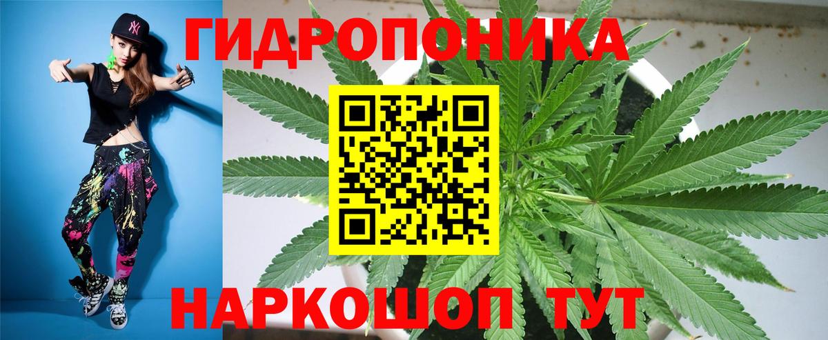 Бошки марихуана Bruce Banner Тельмана